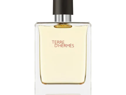 Hermes Terre D`Hermes EDT 100 ml main