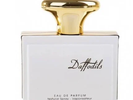 Daffodils Edp 100ml